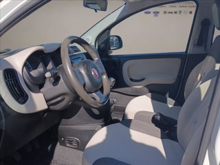 FIAT Panda 1.2 Easy 69cv