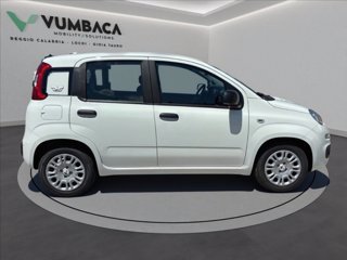 FIAT Pandina 1.0 firefly hybrid Icon s&s 65cv