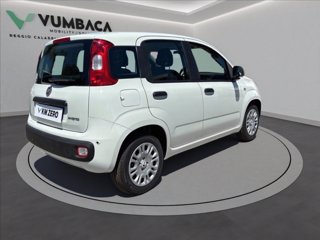 FIAT Pandina 1.0 firefly hybrid Icon s&s 65cv
