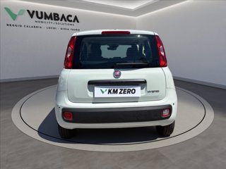 FIAT Pandina 1.0 firefly hybrid Icon s&s 65cv