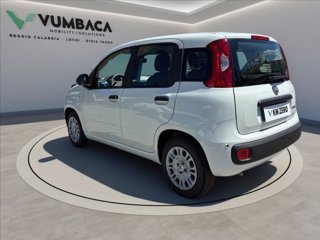 FIAT Pandina 1.0 firefly hybrid Icon s&s 65cv