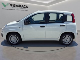 FIAT Pandina 1.0 firefly hybrid Icon s&s 65cv