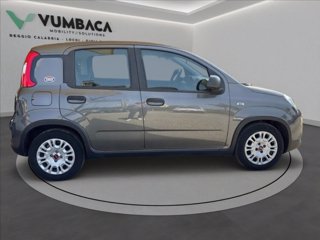 FIAT Panda 1.0 firefly hybrid s&s 70cv