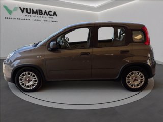 FIAT Panda 1.0 firefly hybrid s&s 70cv