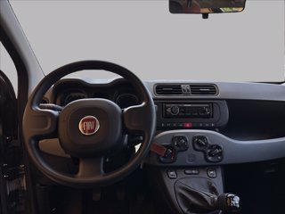 FIAT Panda 1.0 firefly hybrid s&s 70cv