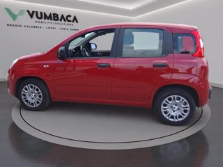 FIAT Pandina 1.0 firefly hybrid s&s 70cv
